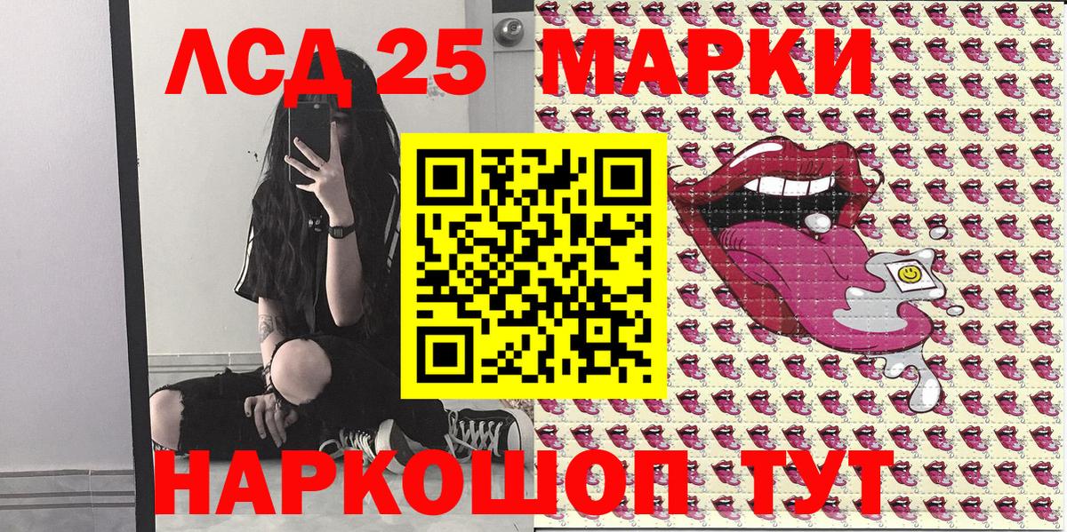 купить наркоту  Наркотические марки 1500мкг  Гусев  Вход с VPN  Наркотические марки 1500мкг 