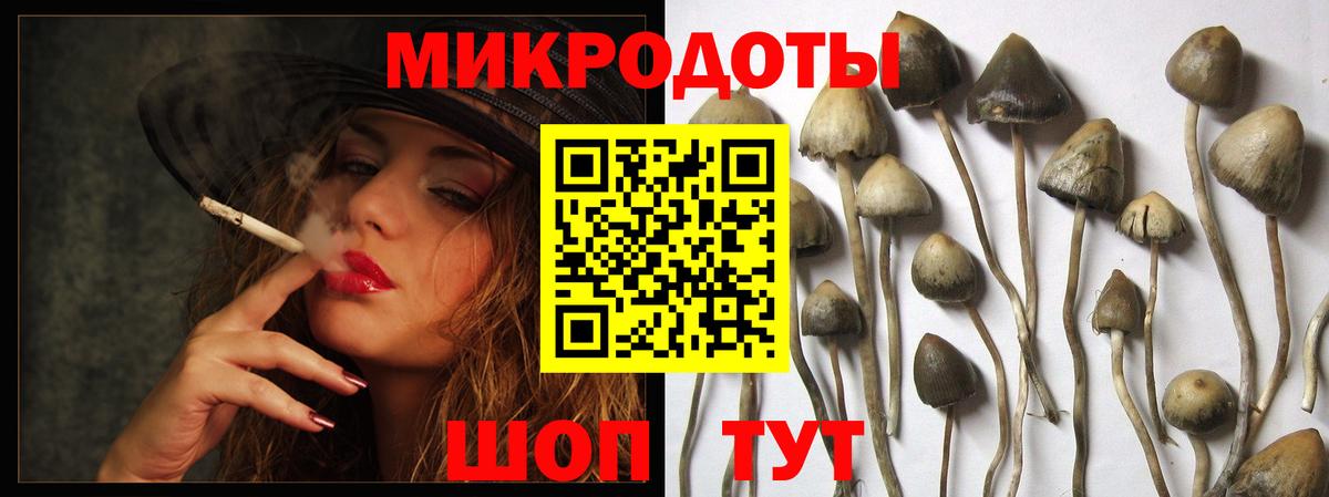 Галлюциногенные грибы MAGIC MUSHROOMS  Вход с VPN  даркнет сайт  Гусев 