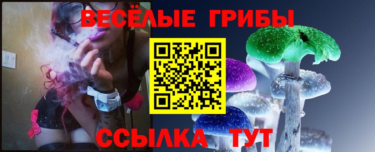 Галлюциногенные грибы GOLDEN TEACHER Гусев